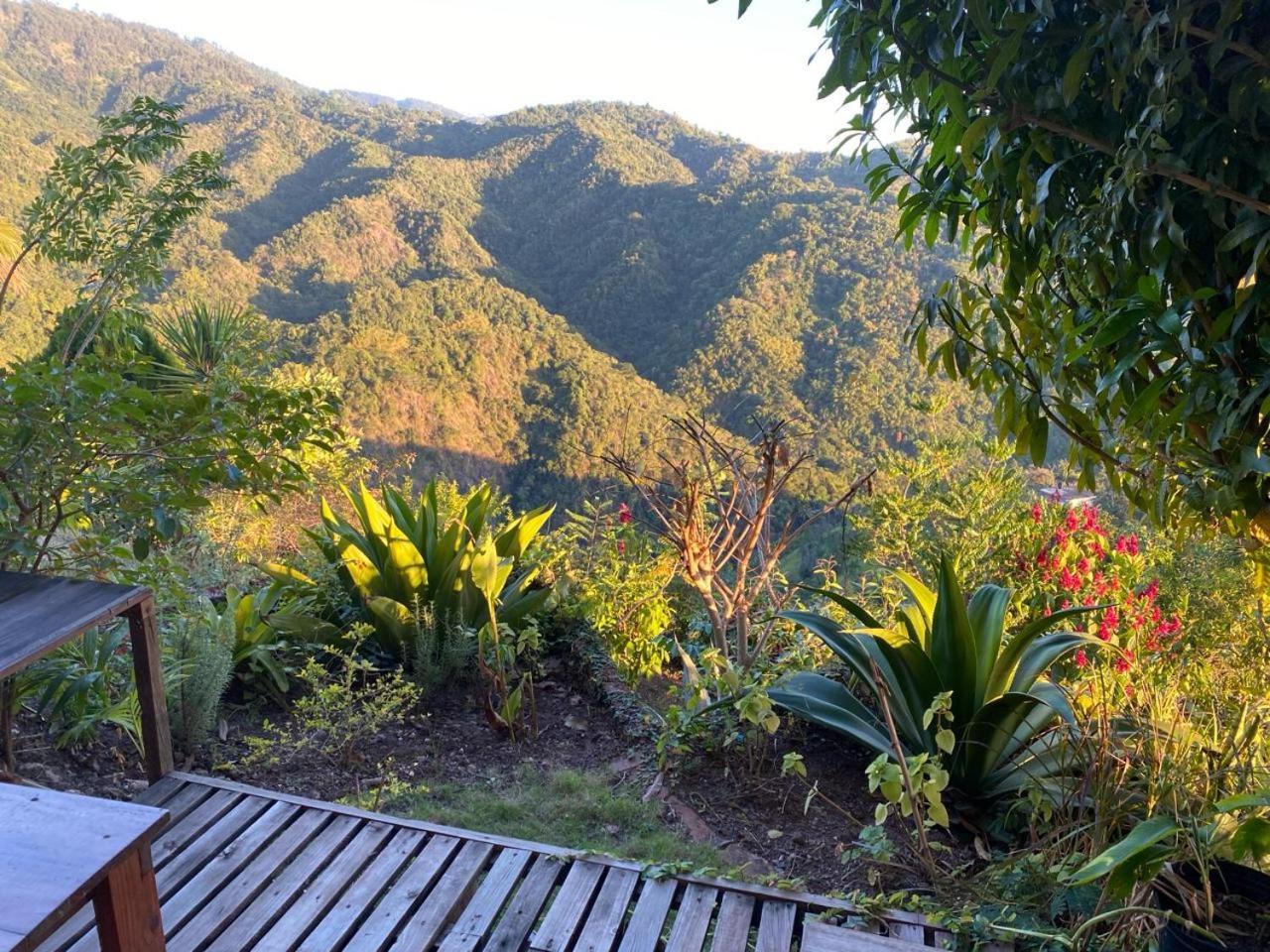 Bed and Breakfast Tranquility Estate Kingston Exterior foto