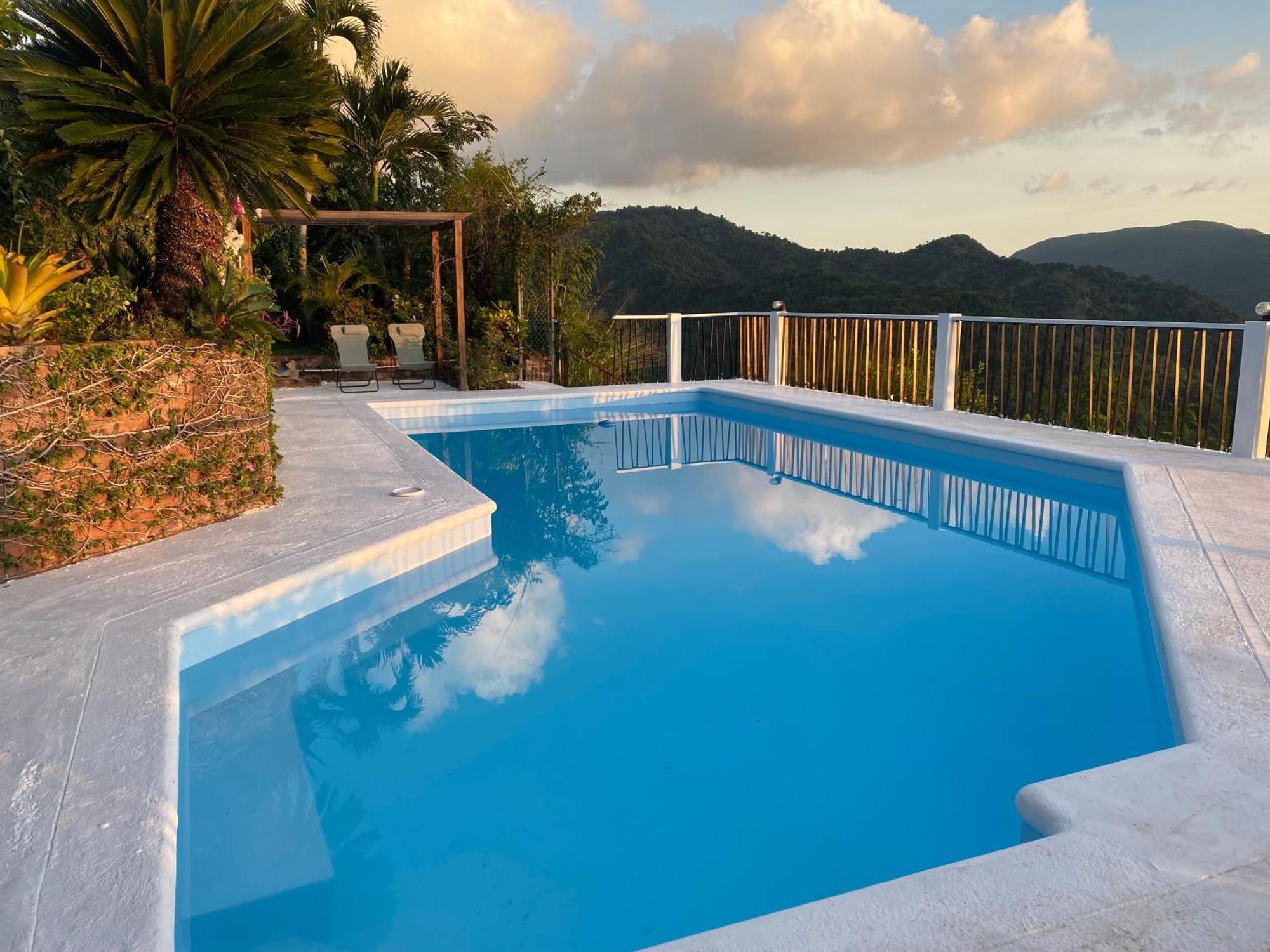 Bed and Breakfast Tranquility Estate Kingston Exterior foto